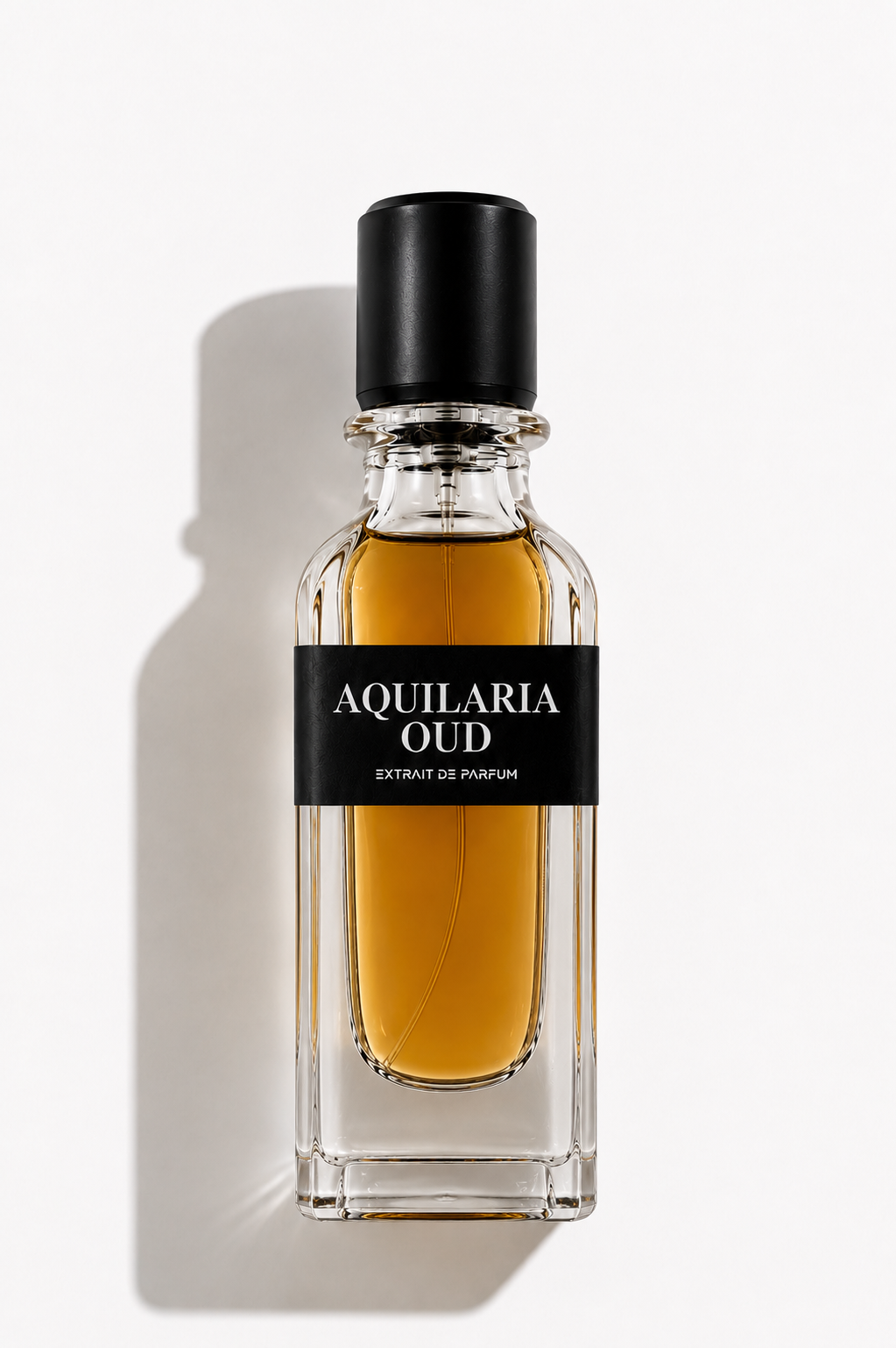 AQUILARIA
