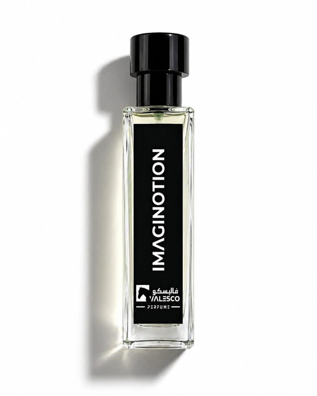IMAGINOTION