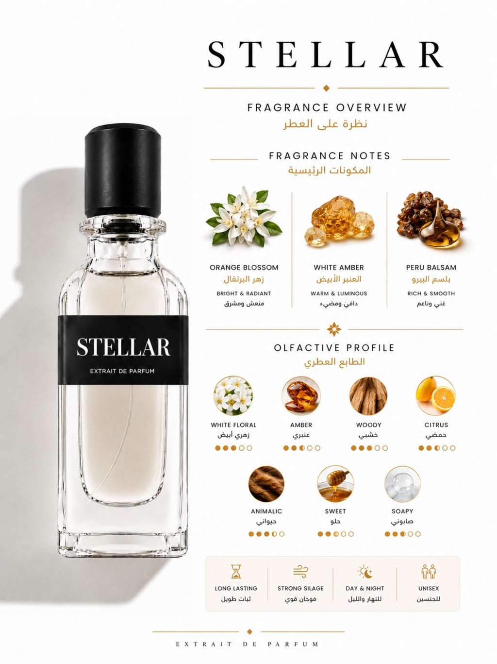 STELLAR