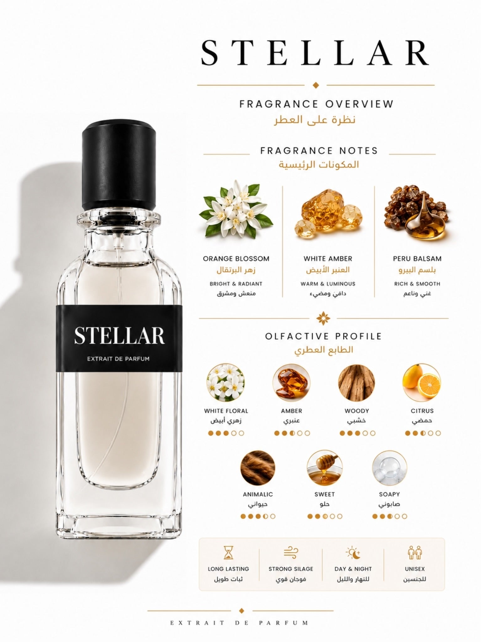 STELLAR