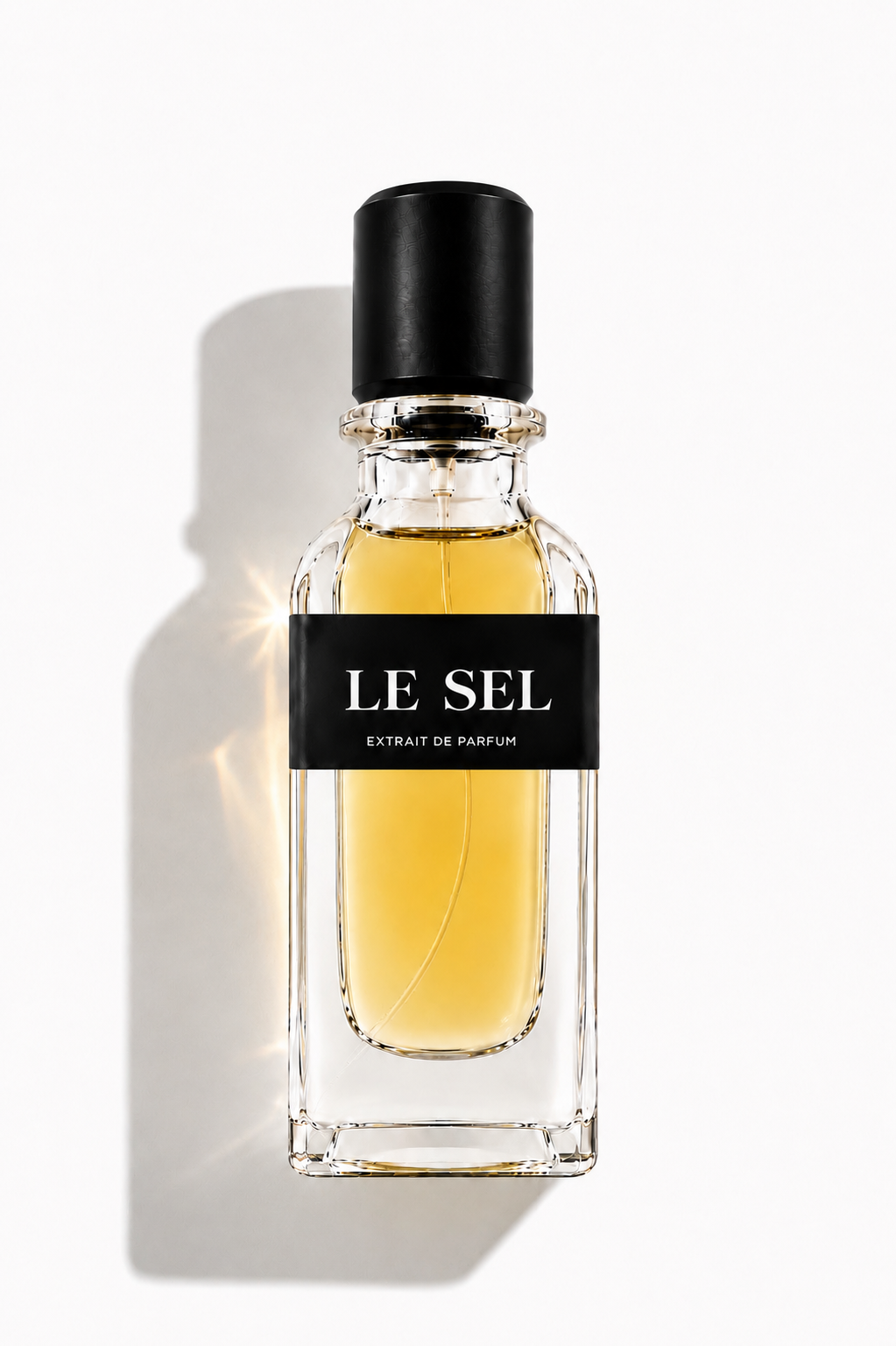 LE SEL
